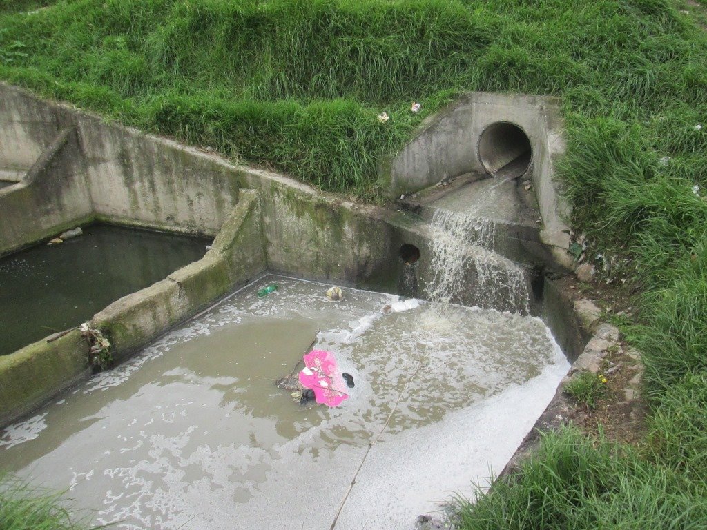 Capacitación